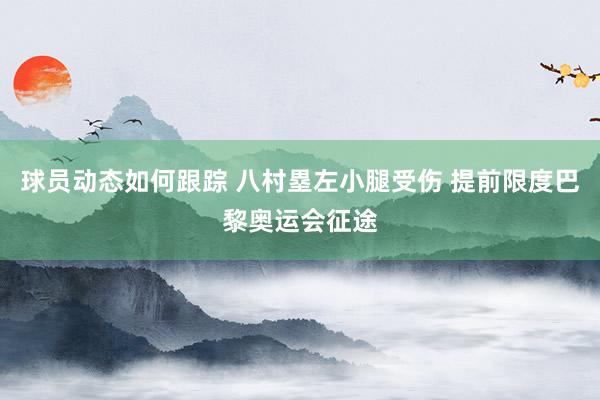 球员动态如何跟踪 八村塁左小腿受伤 提前限度巴黎奥运会征途