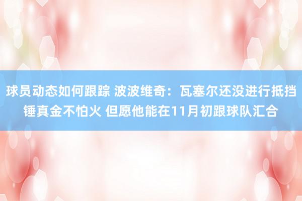 球员动态如何跟踪 波波维奇：瓦塞尔还没进行抵挡锤真金不怕火 但愿他能在11月初跟球队汇合