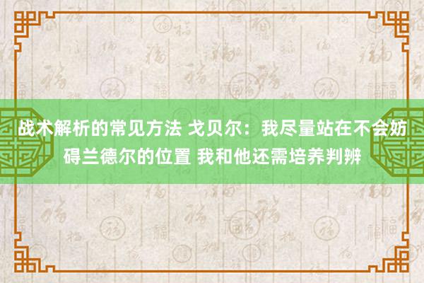 战术解析的常见方法 戈贝尔：我尽量站在不会妨碍兰德尔的位置 我和他还需培养判辨