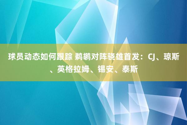 球员动态如何跟踪 鹈鹕对阵骁雄首发：CJ、琼斯、英格拉姆、锡安、泰斯