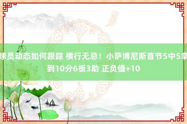 球员动态如何跟踪 横行无忌！小萨博尼斯首节5中5拿到10分6板3助 正负值+10