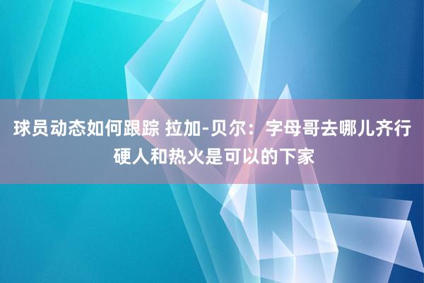 球员动态如何跟踪 拉加-贝尔：字母哥去哪儿齐行 硬人和热火是可以的下家