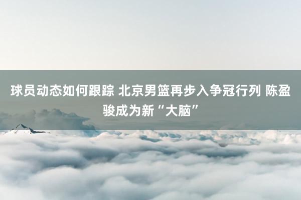 球员动态如何跟踪 北京男篮再步入争冠行列 陈盈骏成为新“大脑”