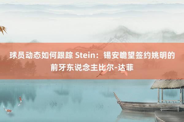 球员动态如何跟踪 Stein：锡安瞻望签约姚明的前牙东说念主比尔-达菲