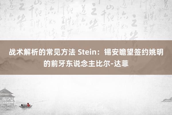 战术解析的常见方法 Stein：锡安瞻望签约姚明的前牙东说念主比尔-达菲