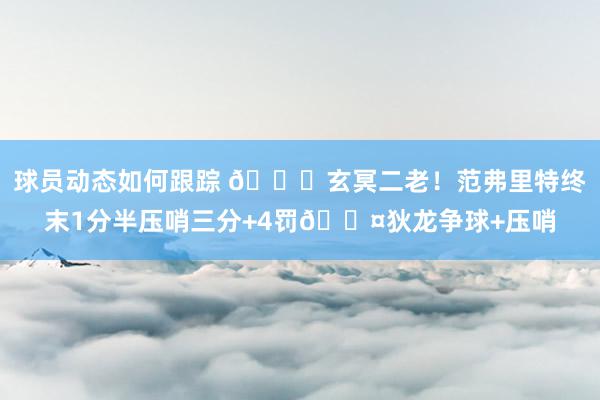 球员动态如何跟踪 🚀玄冥二老！范弗里特终末1分半压哨三分+4罚😤狄龙争球+压哨