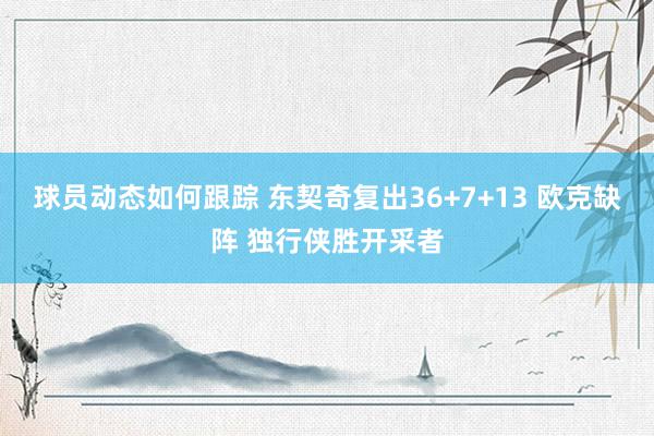 球员动态如何跟踪 东契奇复出36+7+13 欧克缺阵 独行侠胜开采者