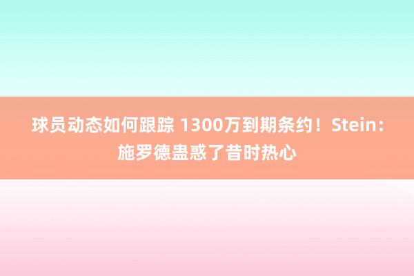 球员动态如何跟踪 1300万到期条约！Stein：施罗德蛊惑了昔时热心