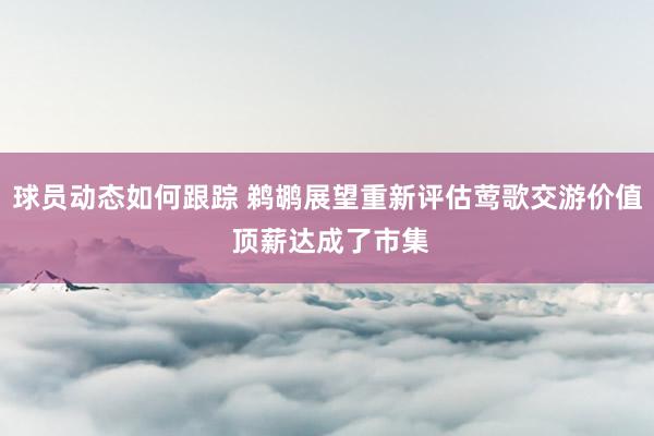 球员动态如何跟踪 鹈鹕展望重新评估莺歌交游价值 顶薪达成了市集