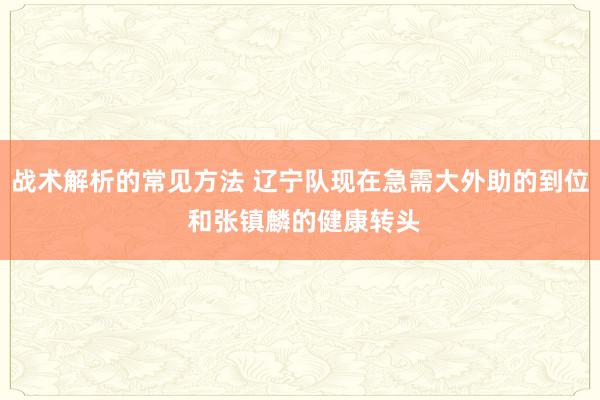 战术解析的常见方法 辽宁队现在急需大外助的到位 和张镇麟的健康转头