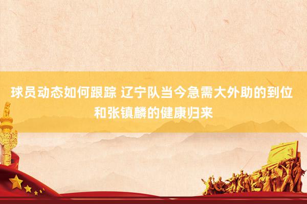 球员动态如何跟踪 辽宁队当今急需大外助的到位 和张镇麟的健康归来