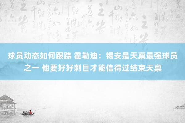 球员动态如何跟踪 霍勒迪：锡安是天禀最强球员之一 他要好好刺目才能信得过结束天禀