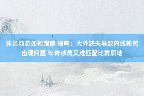 球员动态如何跟踪 杨鸣：大外缺失导致内线轮转出现问题 年青球员又难匹配比赛质地