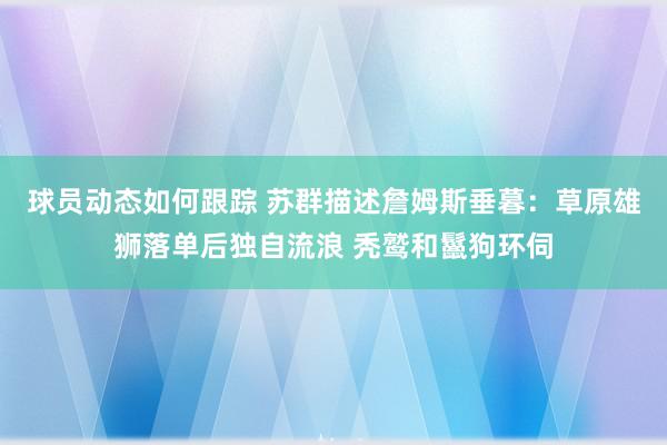 球员动态如何跟踪 苏群描述詹姆斯垂暮：草原雄狮落单后独自流浪 秃鹫和鬣狗环伺