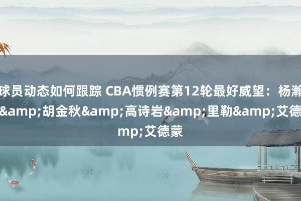 球员动态如何跟踪 CBA惯例赛第12轮最好威望：杨瀚森&胡金秋&高诗岩&里勒&艾德蒙