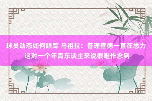 球员动态如何跟踪 马祖拉：普理查德一直在悉力 这对一个年青东谈主来说很难作念到