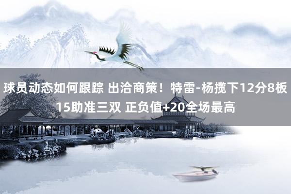 球员动态如何跟踪 出洽商策！特雷-杨揽下12分8板15助准三双 正负值+20全场最高