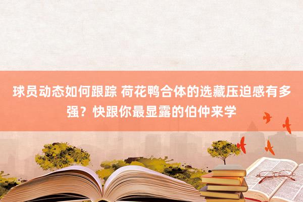 球员动态如何跟踪 荷花鸭合体的选藏压迫感有多强？快跟你最显露的伯仲来学