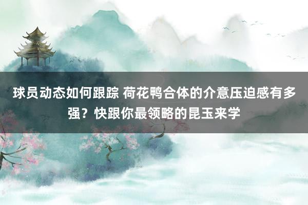 球员动态如何跟踪 荷花鸭合体的介意压迫感有多强？快跟你最领略的昆玉来学