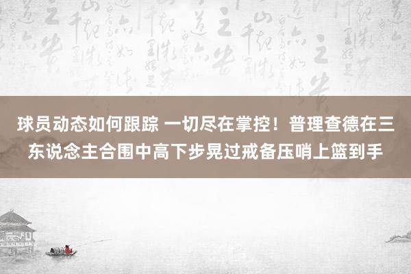 球员动态如何跟踪 一切尽在掌控！普理查德在三东说念主合围中高下步晃过戒备压哨上篮到手