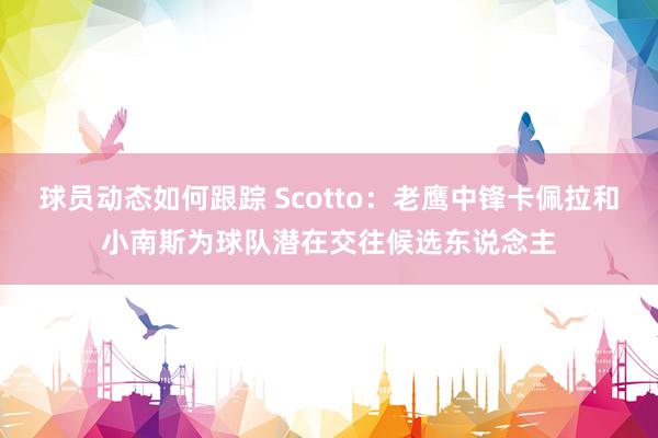 球员动态如何跟踪 Scotto：老鹰中锋卡佩拉和小南斯为球队潜在交往候选东说念主