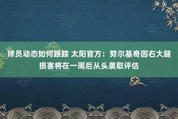 球员动态如何跟踪 太阳官方：努尔基奇因右大腿损害将在一周后从头袭取评估